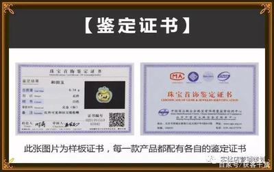 買車險送超級大禮！88折加油卡震撼來襲，省錢又省心！