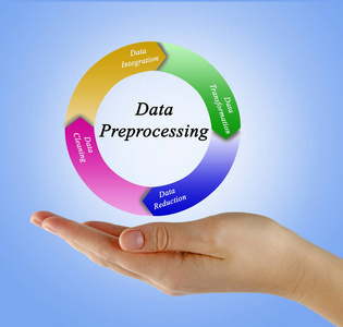 信息管理與處理 現代企業的核心能力