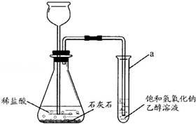 從溶解度表分析氯化鈉與硝酸鉀的溶解特性